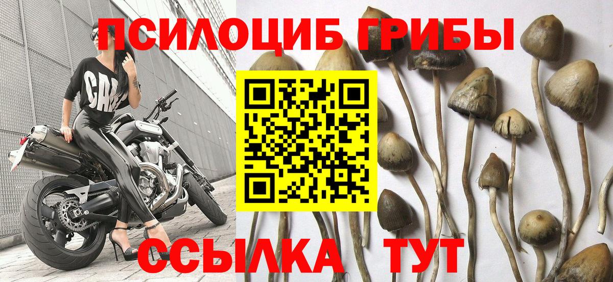 Псилоцибиновые грибы ЛСД  купить  цена  Спасск-Дальний  Вход с VPN 
