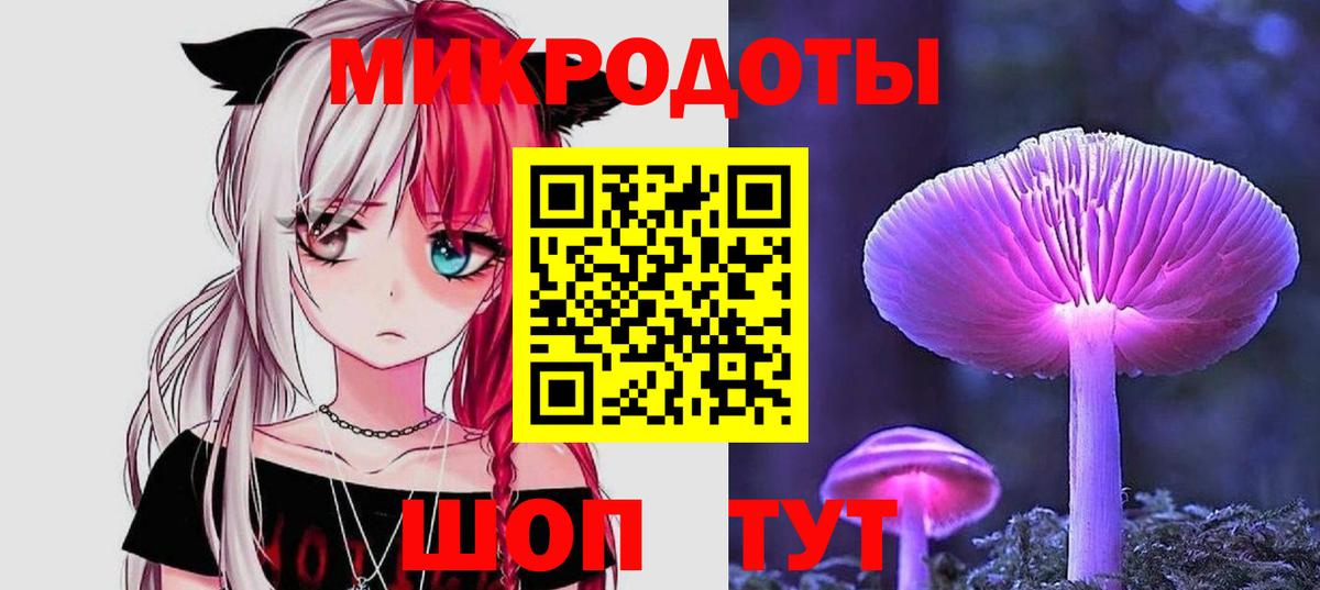 Галлюциногенные грибы Psilocybe Спасск-Дальний